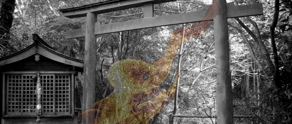 藁人形、わら人形、呪術セットの販売・通販-わら人形.com
